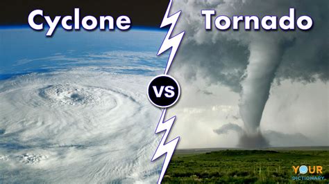 cyclone twister dan word|Cyclone .